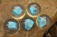 Polished Cobbed Blue Howlite in PVC Resin Paperweight Spheres - sold per item - From Zimbabwe