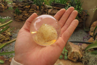 Polished Golden Rutile Quartz in PVC Resin Paperweight Spheres - sold per item - From Brazil