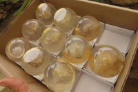 Polished Golden Rutile Quartz in PVC Resin Paperweight Spheres - sold per item - From Brazil