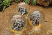 Polished Snowflake Obsidian pieces in PVC Resin Paperweight Spheres - sold per item - From Mexico