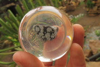 Polished Snowflake Obsidian pieces in PVC Resin Paperweight Spheres - sold per item - From Mexico