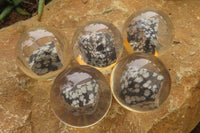 Polished Snowflake Obsidian pieces in PVC Resin Paperweight Spheres - sold per item - From Mexico