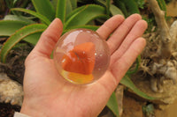 Polished Red Jasper cobbed piece in PVC Resin Paperweight Sphere - sold per item - From South Africa