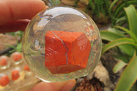 Polished Red Jasper cobbed piece in PVC Resin Paperweight Sphere - sold per item - From South Africa