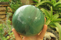 Polished Fuchsite Quartz Sphere x 1 From Madagascar