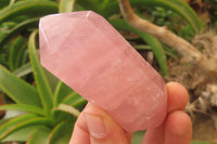 Polished Double Terminated Rose Quartz Points x 12 From Ambatondrazaka, Madagascar