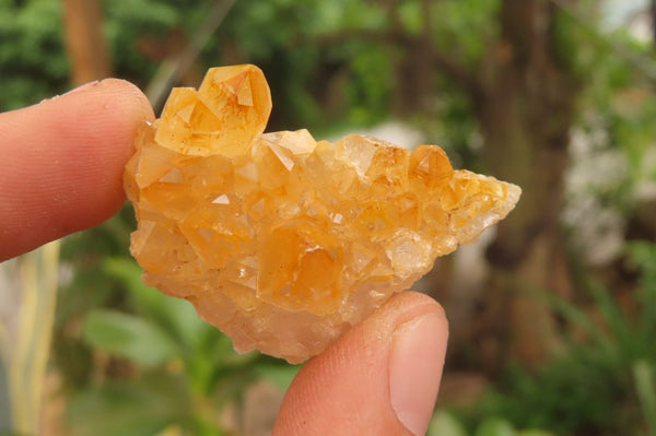 Natural Limonite Quartz Specimens x 28 From Zambia