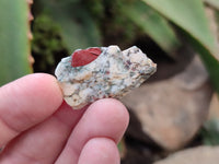 Natural Bloodstone Cobbed Specimens x 2.1 Kg Lot From Swaziland