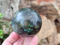 Polished Labradorite Spheres x 6 From Tulear, Madagascar