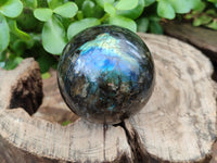 Polished Labradorite Spheres x 6 From Tulear, Madagascar