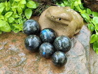 Polished Labradorite Spheres x 6 From Tulear, Madagascar