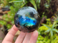 Polished Labradorite Spheres x 6 From Tulear, Madagascar