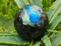 Polished Labradorite Spheres x 6 From Tulear, Madagascar