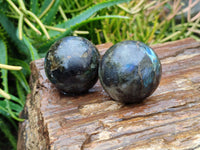 Polished Labradorite Spheres x 6 From Tulear, Madagascar