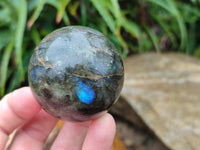 Polished Labradorite Spheres x 6 From Tulear, Madagascar