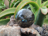 Polished Labradorite Spheres x 6 From Tulear, Madagascar