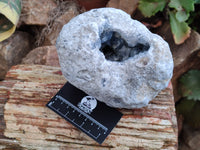 Natural Celestite Geode Specimen x 1 From Sakoany, Madagascar