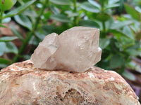 Natural Cascading Quartz Crystals x 20 From Luena, Congo