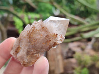 Natural Cascading Quartz Crystals x 20 From Luena, Congo