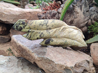 Hand Made Leopard Stone Chameleon Carvings x 2 From Zimbabwe