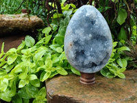 Polished Celestite Geode Egg x 1 From Sakoany, Madagascar