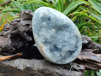 Polished Celestite Geode Egg x 1 From Sakoany, Madagascar