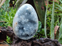 Polished Celestite Geode Egg x 1 From Sakoany, Madagascar