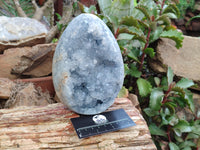 Polished Celestite Geode Egg x 1 From Sakoany, Madagascar