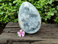 Polished Celestite Geode Egg x 1 From Sakoany, Madagascar