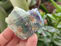 Natural Watermelon Fluorite Cobbed Specimens x 15 From Uis, Namibia