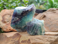 Natural Watermelon Fluorite Cobbed Specimens x 15 From Uis, Namibia