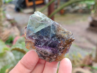 Natural Watermelon Fluorite Cobbed Specimens x 15 From Uis, Namibia