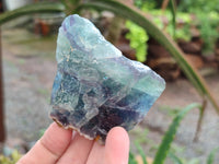 Natural Watermelon Fluorite Cobbed Specimens x 15 From Uis, Namibia