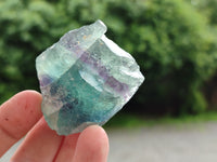 Natural Watermelon Fluorite Cobbed Specimens x 15 From Uis, Namibia