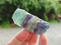 Natural Watermelon Fluorite Cobbed Specimens x 15 From Uis, Namibia