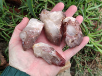 Natural Red Hematoid Quartz Crystals x 12 From Karoi, Zimbabwe