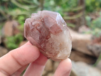 Natural Red Hematoid Quartz Crystals x 12 From Karoi, Zimbabwe