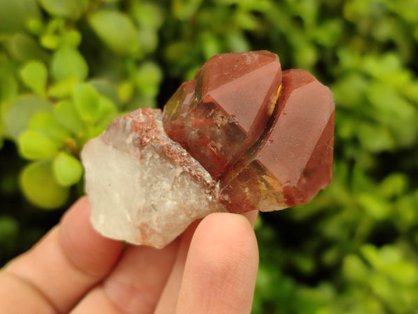 Natural Red Hematoid Quartz Crystals x 12 From Karoi, Zimbabwe