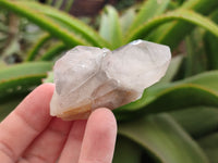 Natural Red Hematoid Quartz Crystals x 12 From Karoi, Zimbabwe