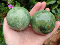 Polished Chrysoprase Spheres x 5 From Madagascar