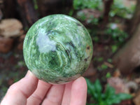 Polished Chrysoprase Spheres x 5 From Madagascar