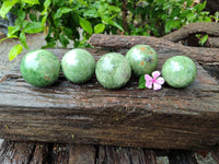 Polished Chrysoprase Spheres x 5 From Madagascar