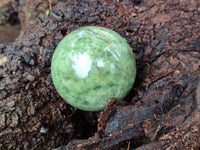 Polished Chrysoprase Spheres x 5 From Madagascar