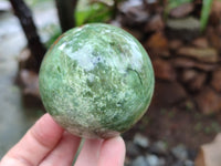 Polished Chrysoprase Spheres x 5 From Madagascar