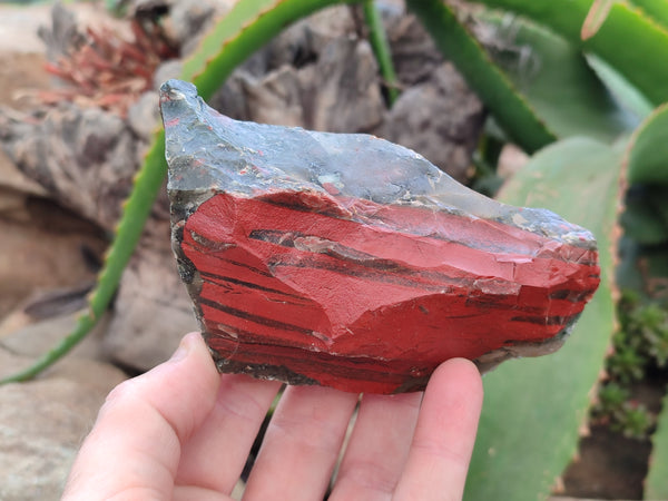 Natural Cobbed Bloodstone Specimens x 12 From Swaziland