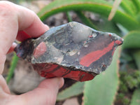 Natural Cobbed Bloodstone Specimens x 12 From Swaziland