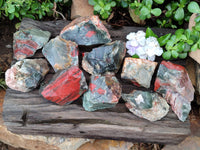 Natural Cobbed Bloodstone Specimens x 12 From Swaziland