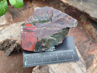 Natural Cobbed Bloodstone Specimens x 12 From Swaziland