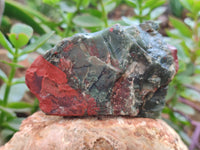 Natural Cobbed Bloodstone Specimens x 12 From Swaziland