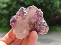 Natural Amethyst Quartz Crystals x 12 From Chiredzi, Zimbabwe